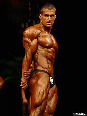Martin Daj�