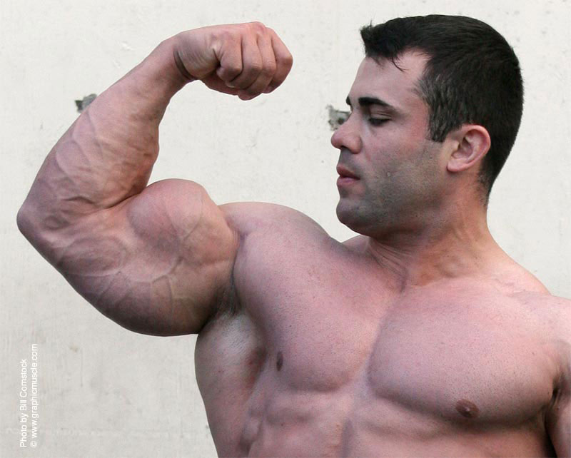 Moe El Moussawi