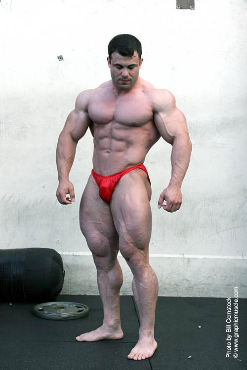 Moe El Moussawi