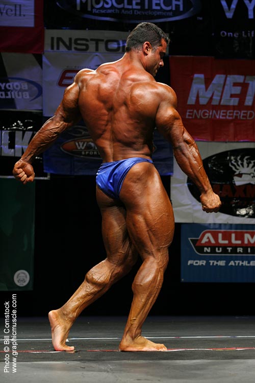 Moe El Moussawi