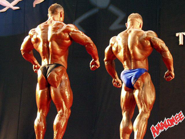 MS v Egypt� 2002