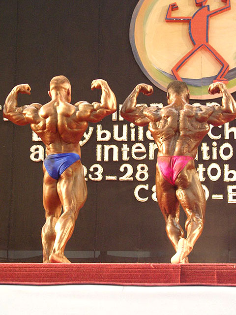 MS v Egypt� 2002