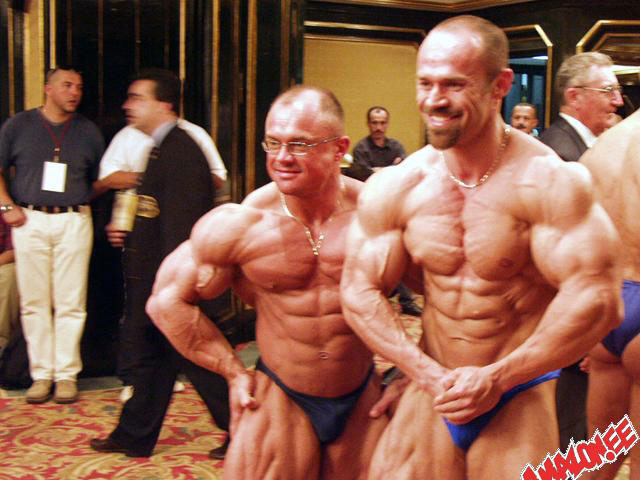 MS v Egypt� 2002