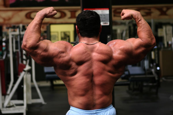 Gustavo Badell