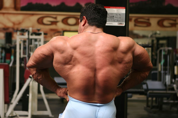 Gustavo Badell
