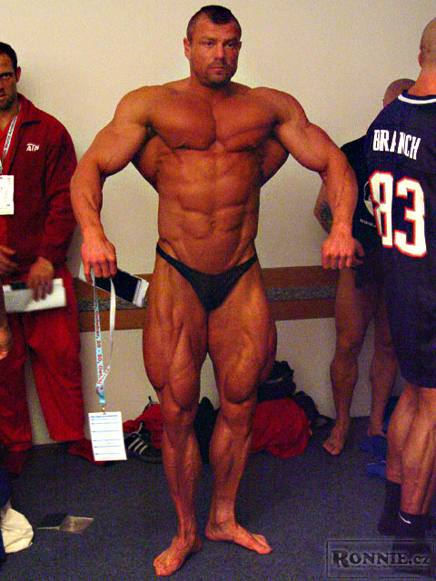 Dalibor H�jek