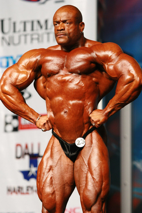 Will Harris