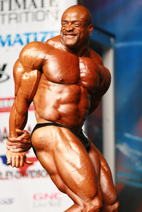 Will Harris