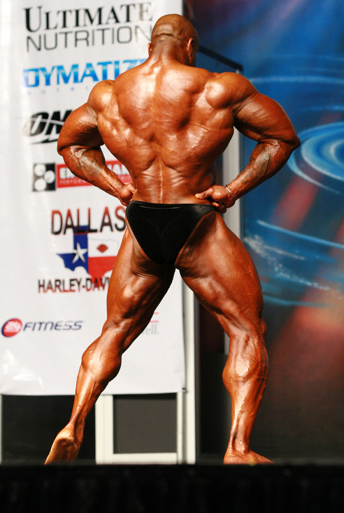 Will Harris