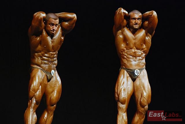 &nbsp;