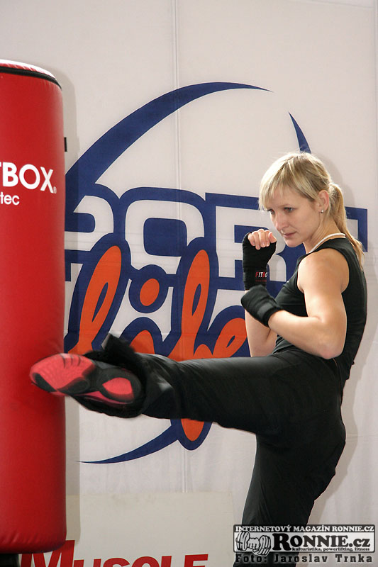 Boxovac� totemy