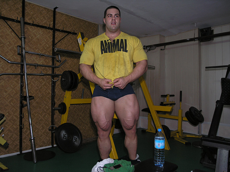 Evan Centopani