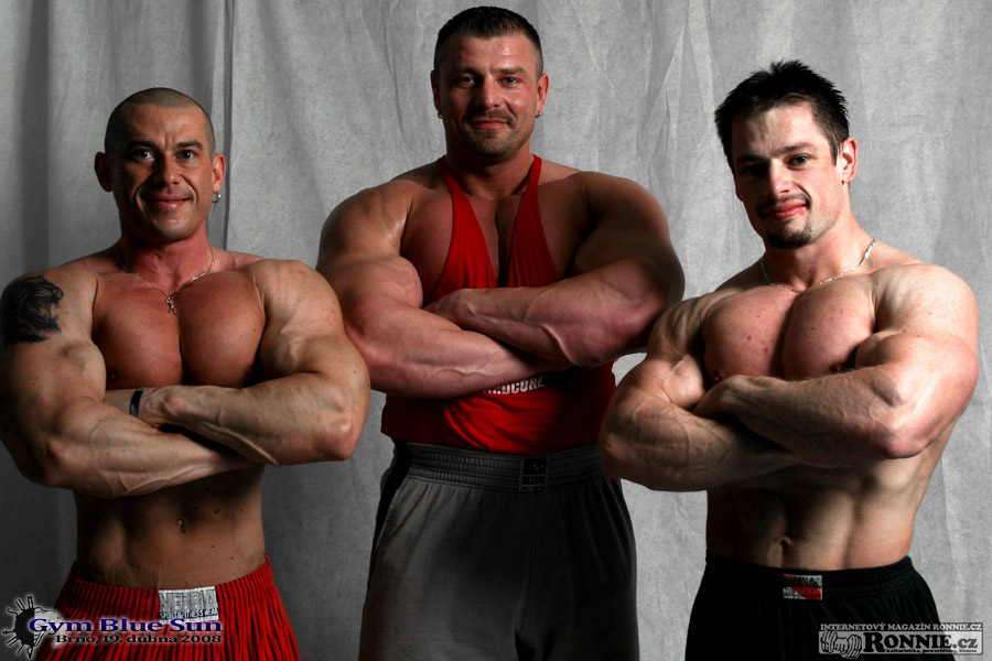 Lubo� Koumal, Dalibor H�jek a M�ra Han�k