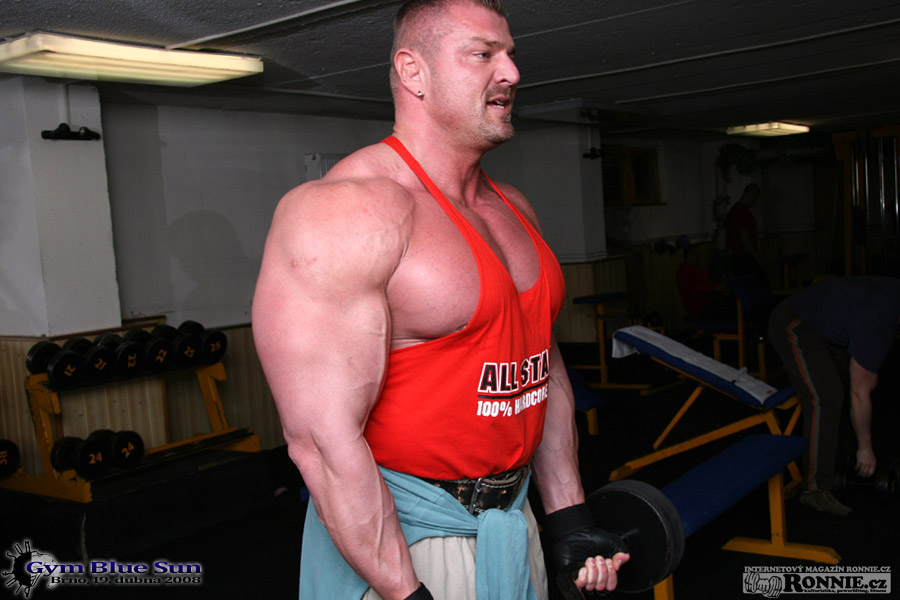 Dalibor H�jek