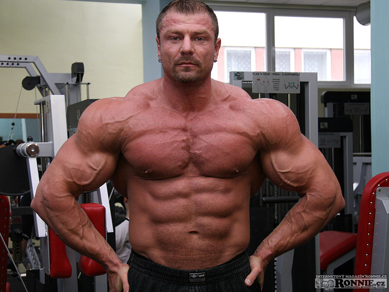 Dalibor H�jek