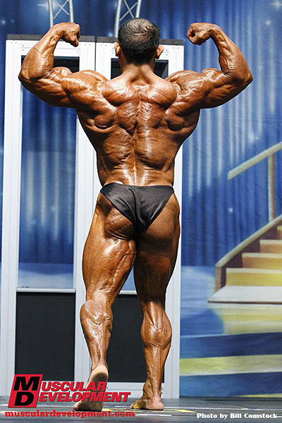Jorge Jose Alves