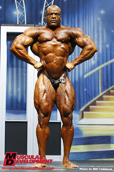 Will Harris