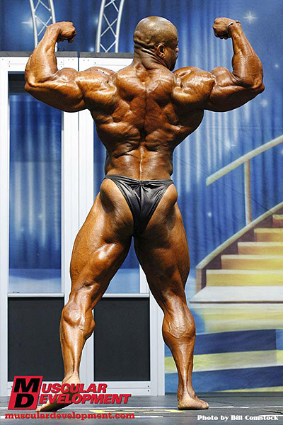 Will Harris