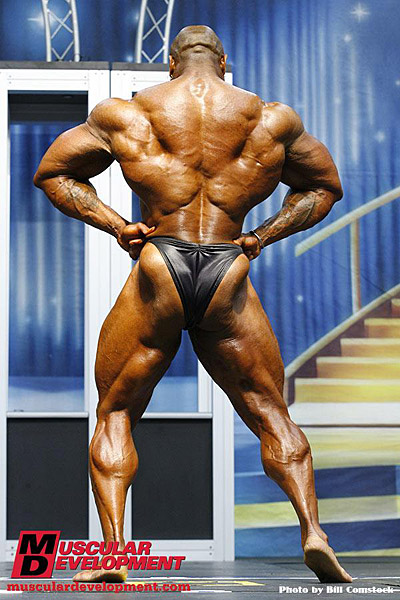 Will Harris