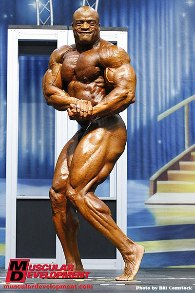 Will Harris