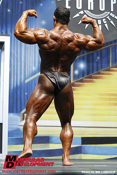Tarek Elsetouhi