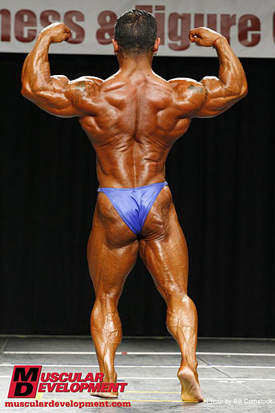 Omar Borrelli