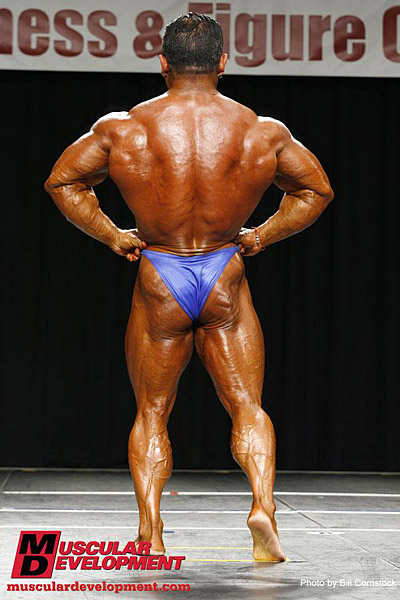 Omar Borrelli