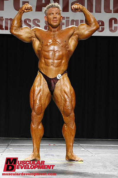 Andy Haman