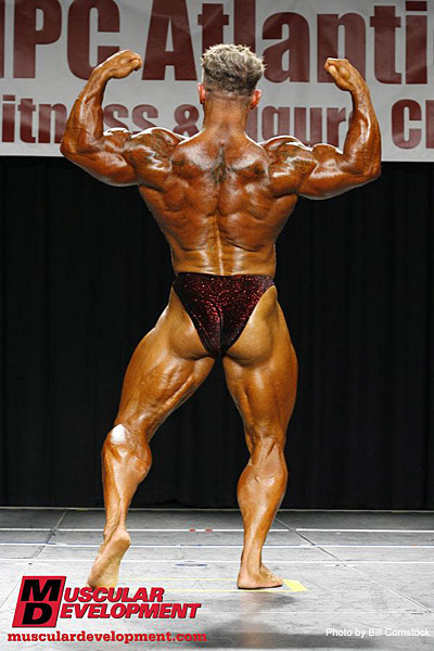 Andy Haman