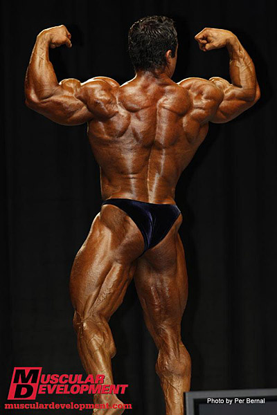 Moe Elmoussawi