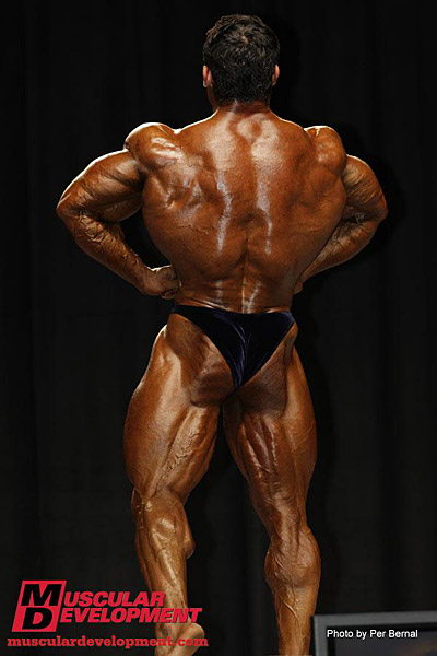 Moe Elmoussawi