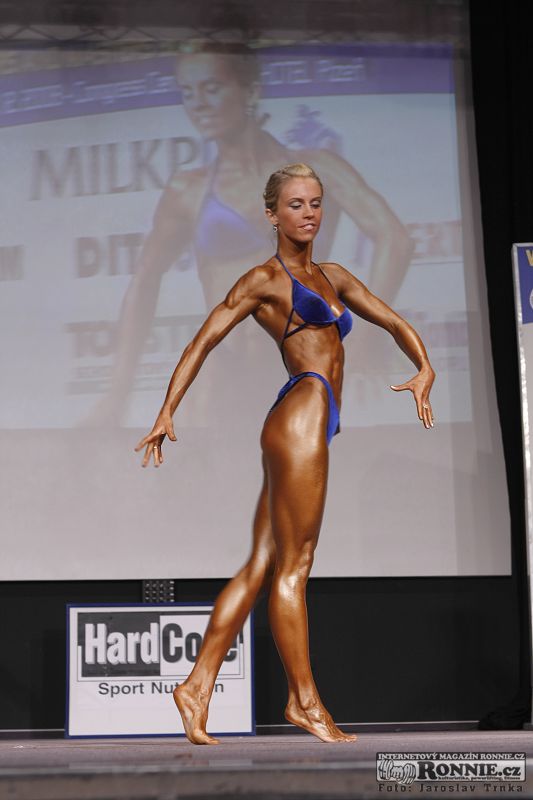 &nbsp;