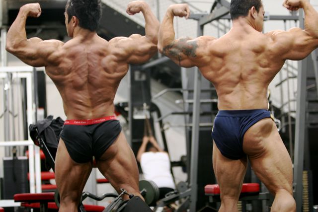 Hidetada Yamagishi a Kris Dim