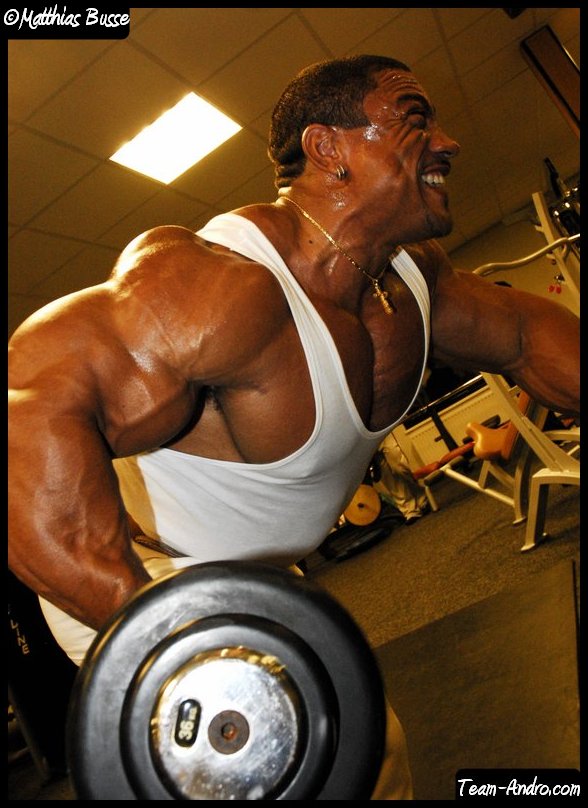 Roelly Winklaar