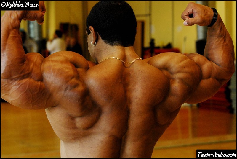 Roelly Winklaar