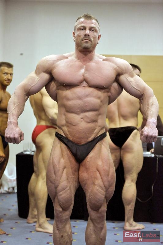 Dalibor H�jek