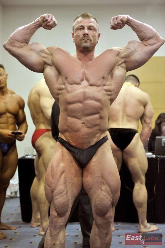 Dalibor H�jek