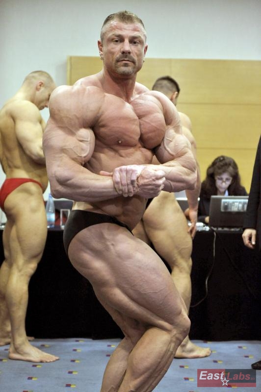 Dalibor H�jek