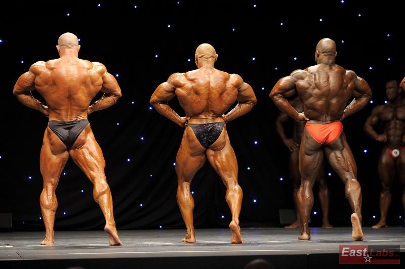 Bure�, Van Steenberghe, Wadley