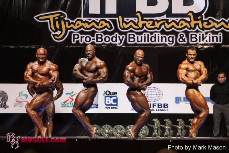 Piotrkowicz, Nunn, Haley, Elmoussawi