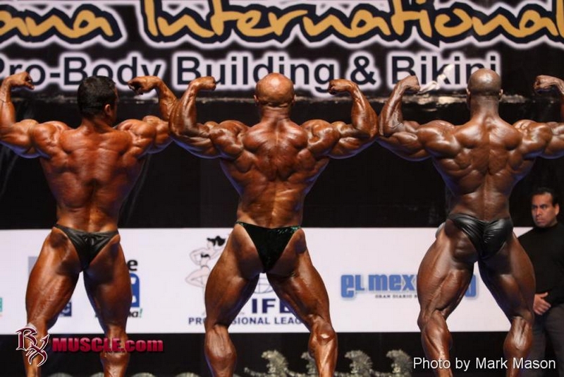 Elmoussawi, Piotrkowicz, Nunn