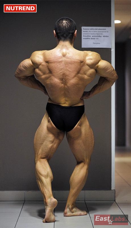 Marian �ambal p�ed Arnold Classic Europe