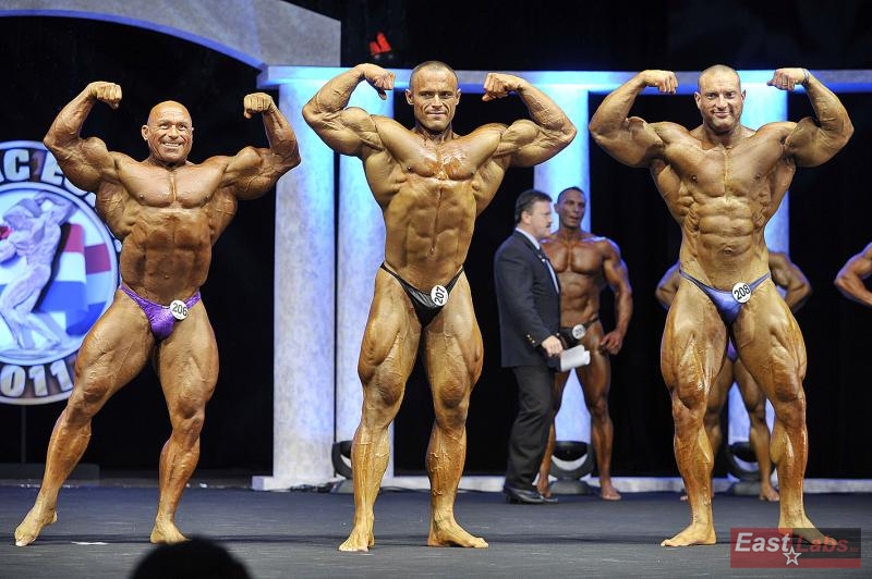 Orazio Salvatori,  Andrzej Kolodziejczyk, Petr B�ezna