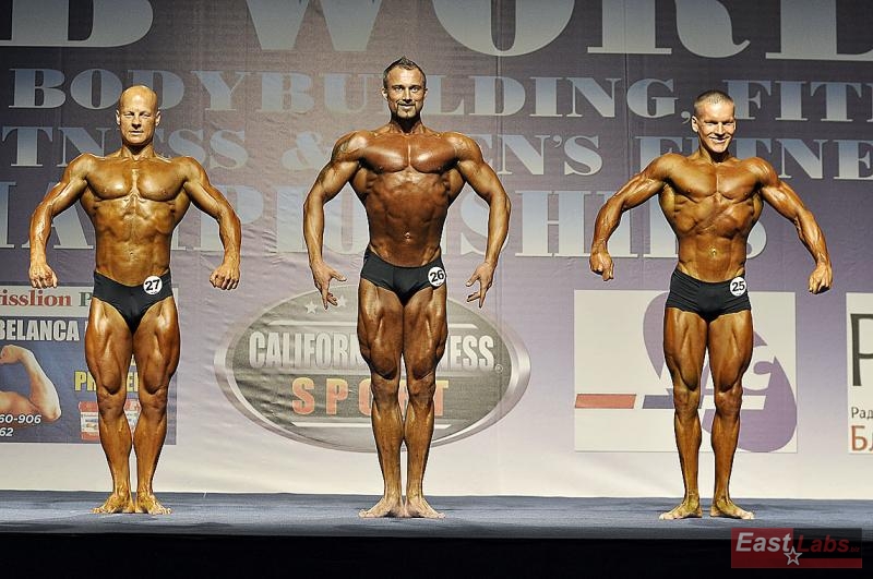 David Bab�rek, Sergey Kolenchikov, Oleg Anissimov