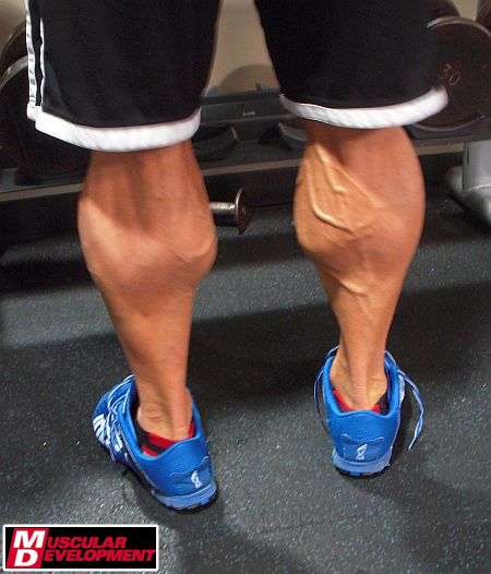 Steve Kuclo