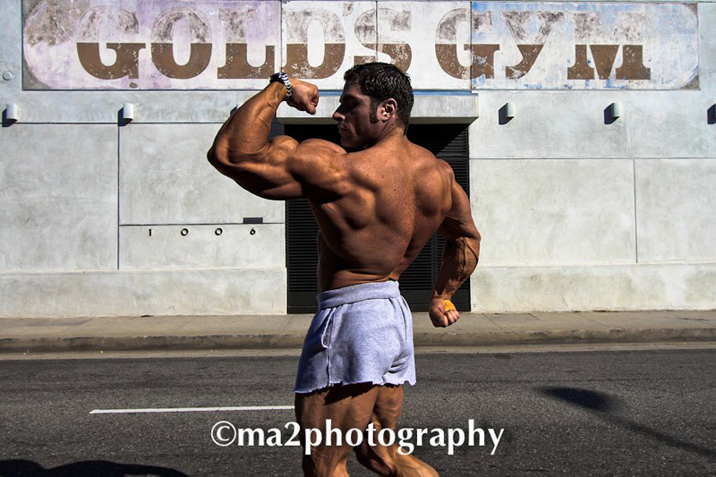 David Hoffmann