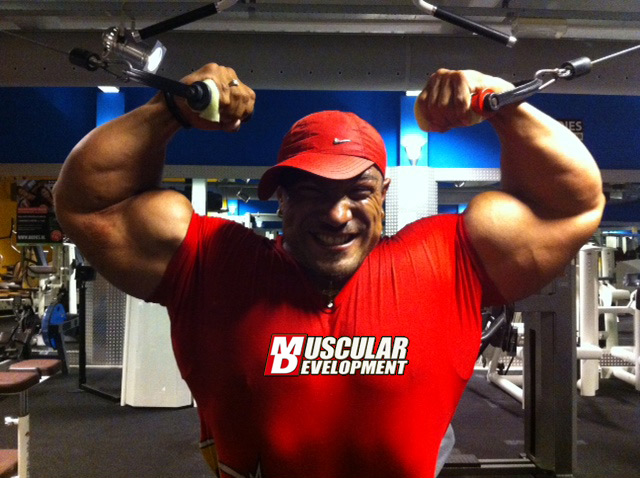 Roelly Winklaar