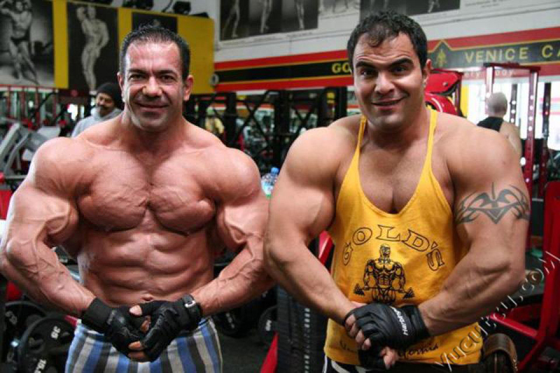 Mehmet Yildirim 6 t�dn� p�ed Flex Pro 2012