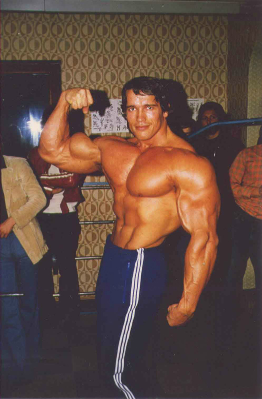 Arnold Schwarzenegger