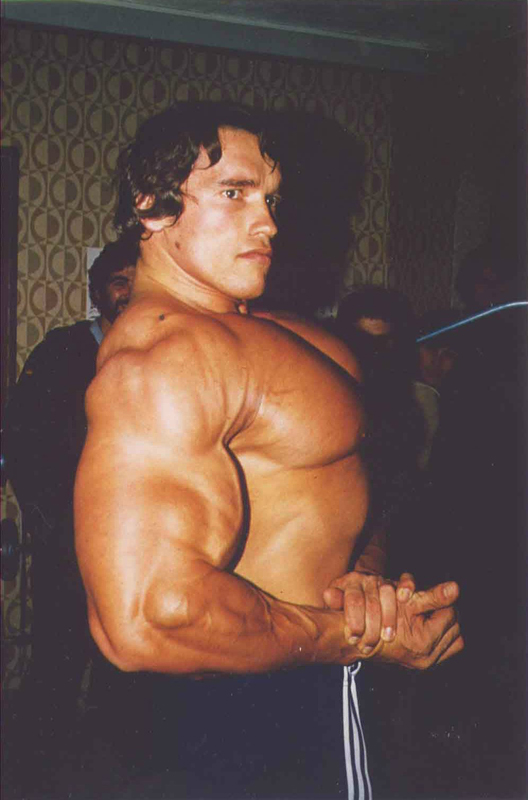 Arnold Schwarzenegger